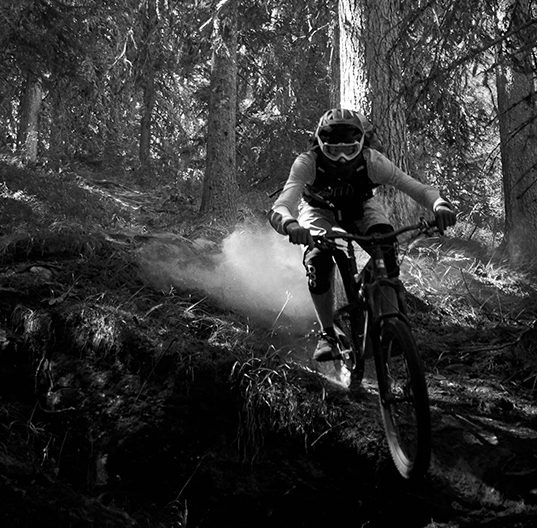 Vollgas im Wald